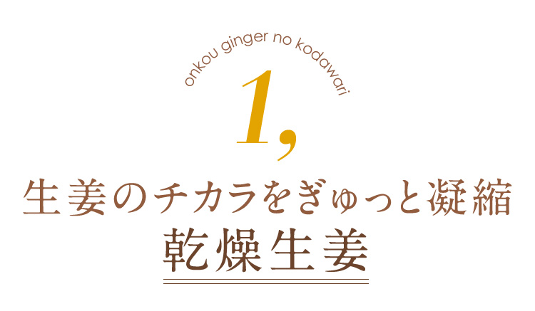 生姜のチカラをぎゅっと凝縮　乾燥生姜